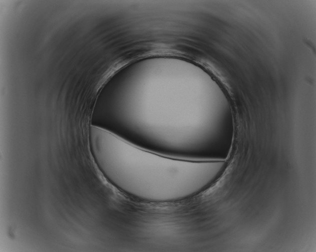 X0000093421049200710120852