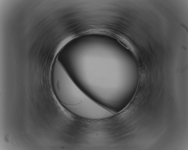 X0000093421050200710120852