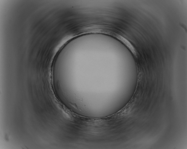 X0000093421051200710120852
