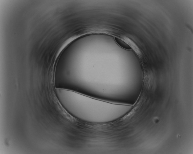 X0000093421052200710120852