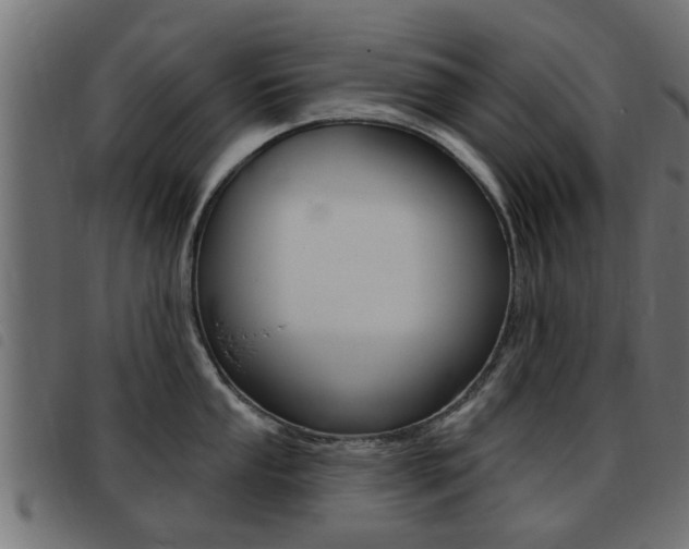 X0000093421053200710120852