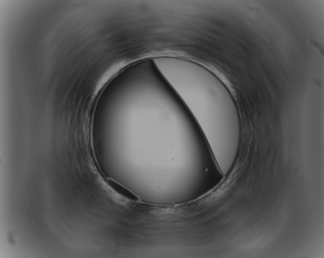 X0000093421054200710120852