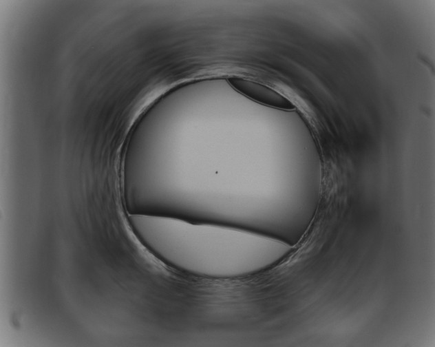 X0000093421055200710120853