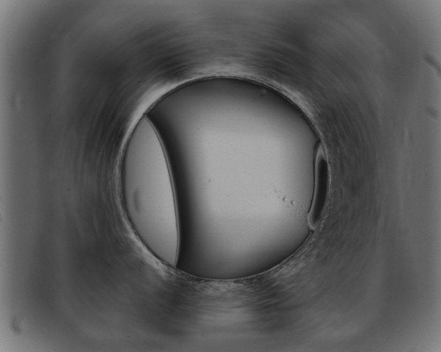 X0000093421056200710120853