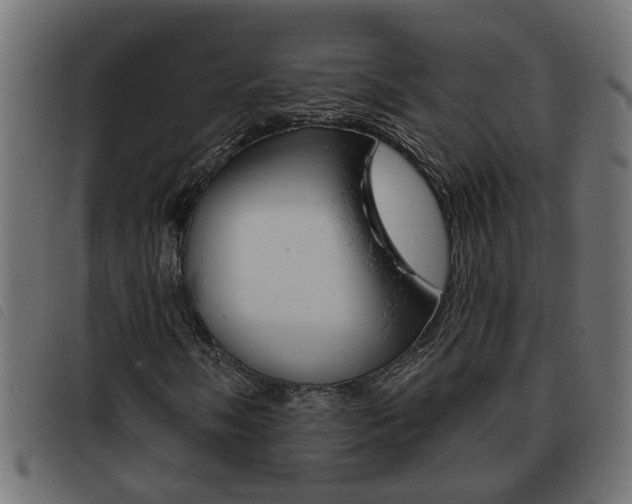 X0000093421058200710120852