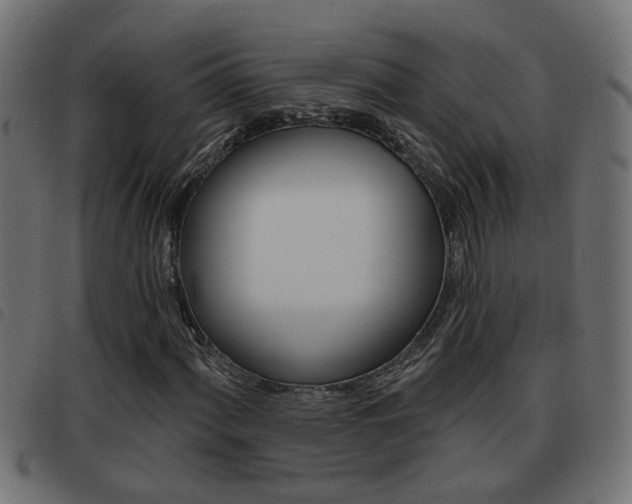 X0000093421060200710120852
