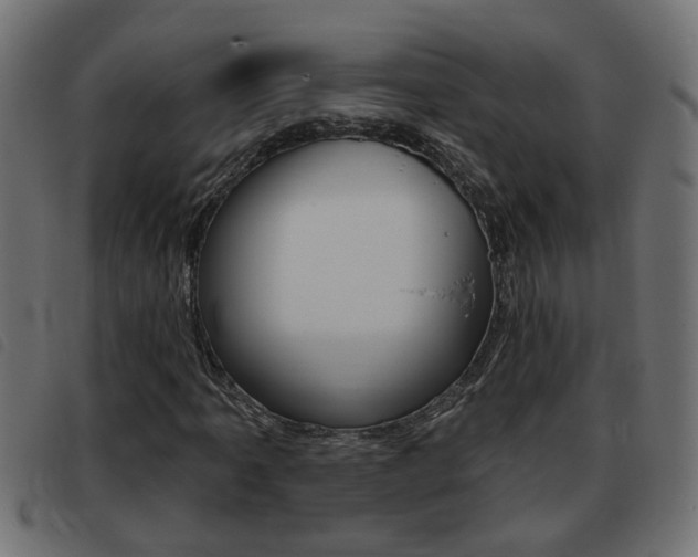 X0000093421061200710120852