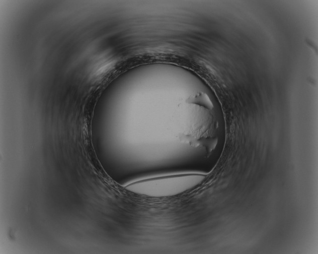 X0000093421062200710120852