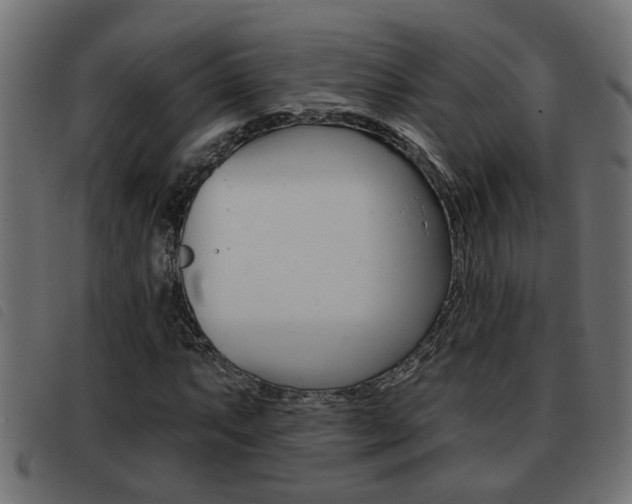 X0000093421063200710120852