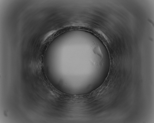 X0000093421064200710120852