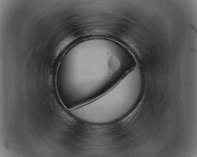 X0000093421066200710120852