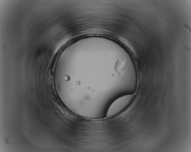 X0000093421067200710120852