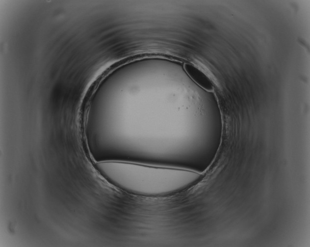 X0000093421068200710120852