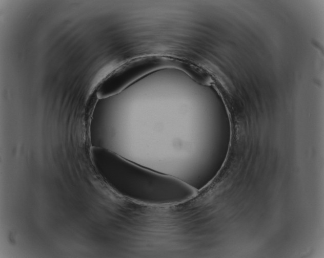 X0000093421069200710120852