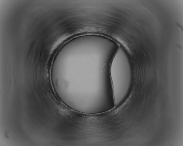 X0000093421070200710120852