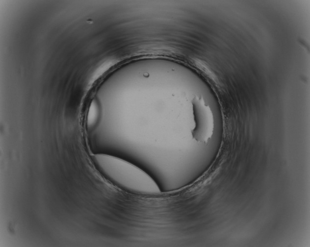X0000093421071200710120852