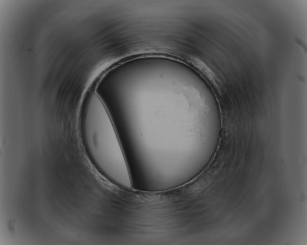 X0000093421072200710120852