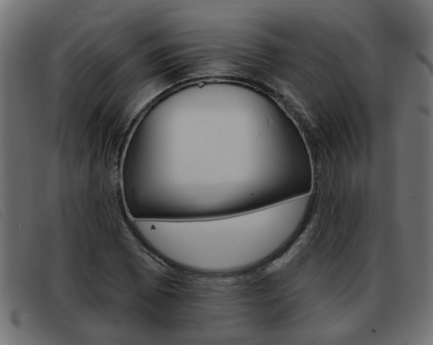 X0000093421073200710120852