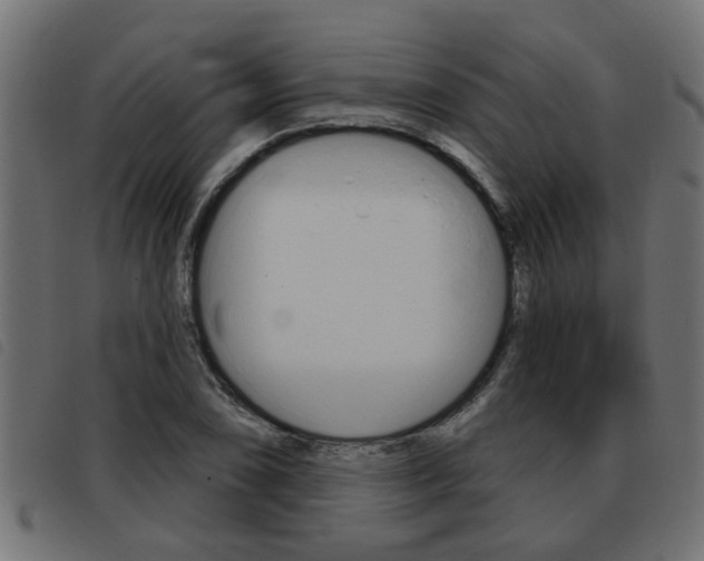 X0000093421074200710120852