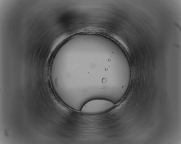 X0000093421075200710120852