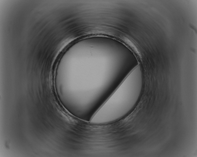 X0000093421076200710120852