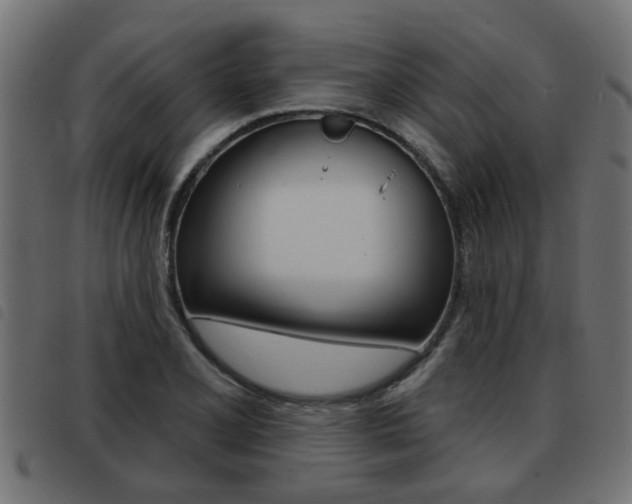 X0000093421077200710120852