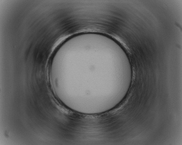 X0000093421078200710120852