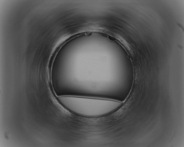 X0000093421080200710120852