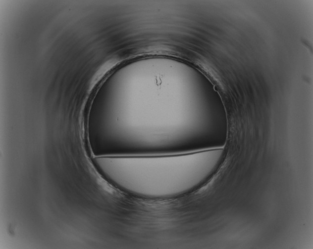 X0000093421082200710120852