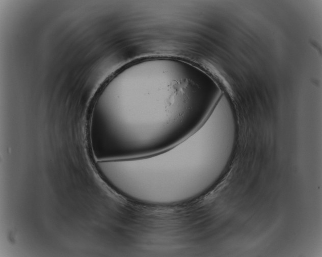X0000093421085200710120851
