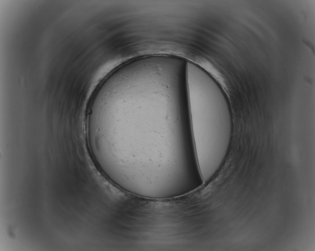 X0000093421088200710120851