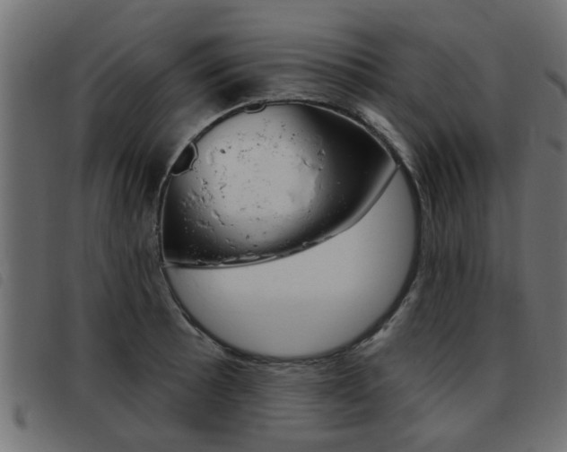 X0000093421089200710120851