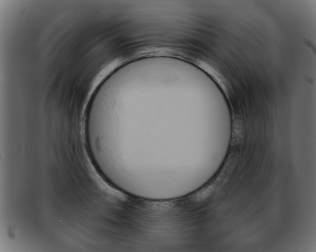 X0000093421090200710120851