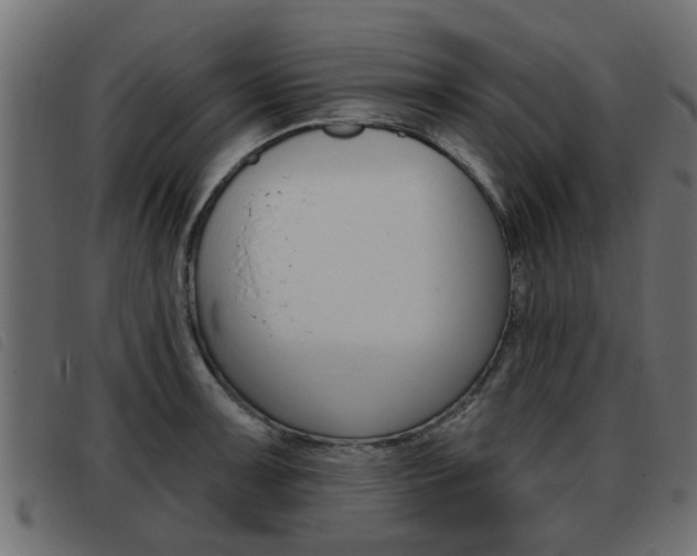 X0000093421091200710120851
