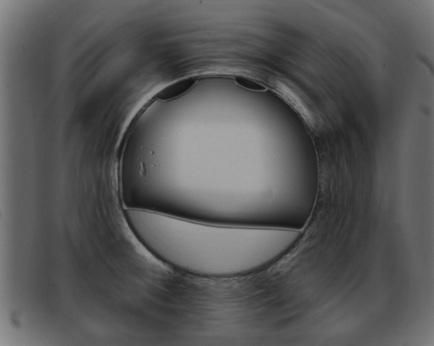 X0000093421092200710120851