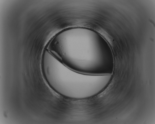 X0000093421093200710120851