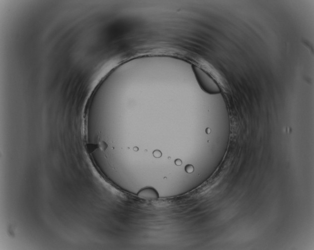 X0000093421095200710120851