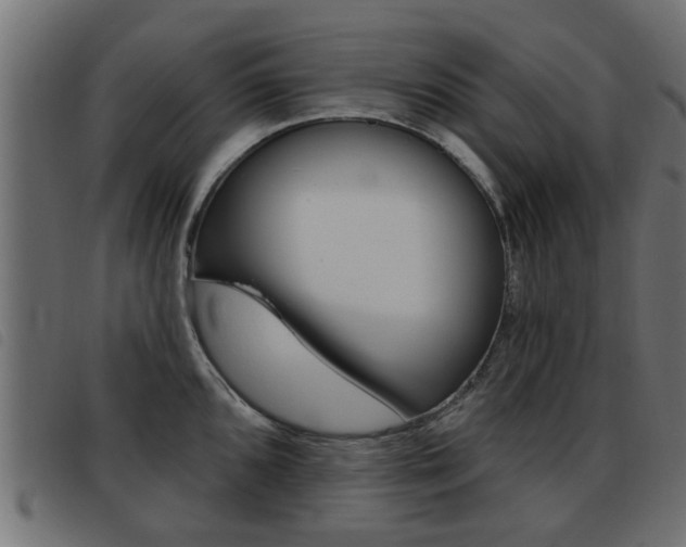 X0000093421096200710120851
