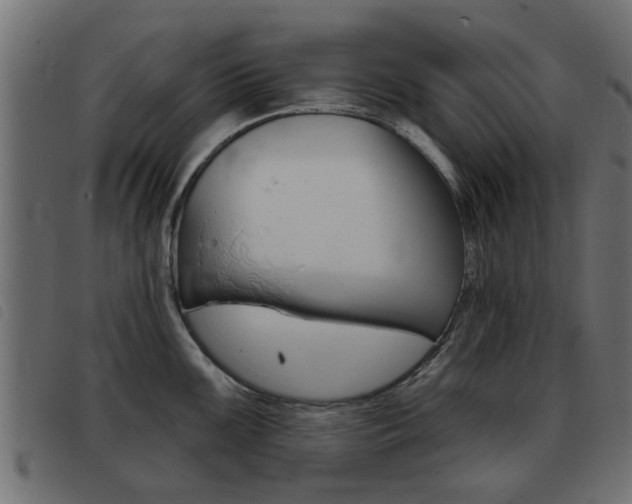 X0000093421099200710120851