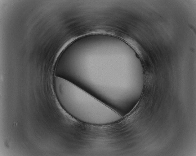 X0000093421100200710120851