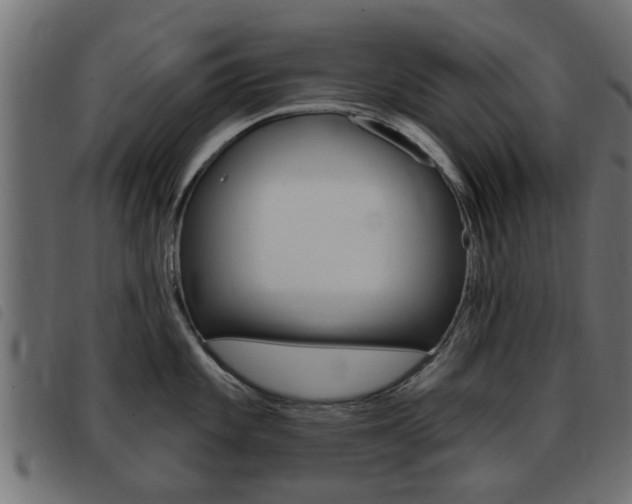 X0000093421101200710120851