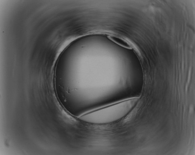 X0000093421102200710120851