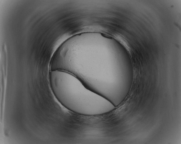 X0000093421103200710120851