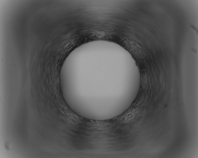 X0000093421105200710120851