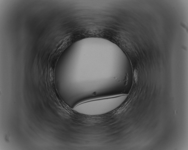 X0000093421107200710120851