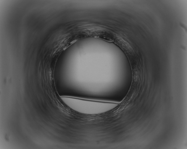 X0000093421108200710120851