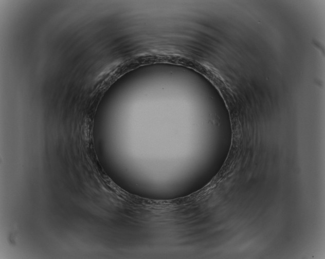 X0000093421110200710120851