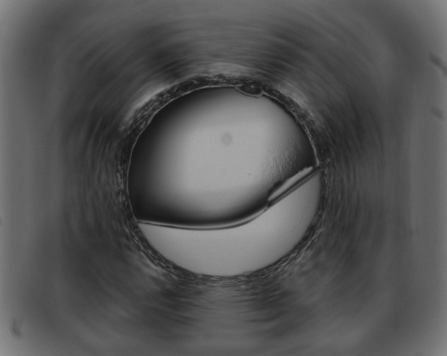 X0000093421112200710120851
