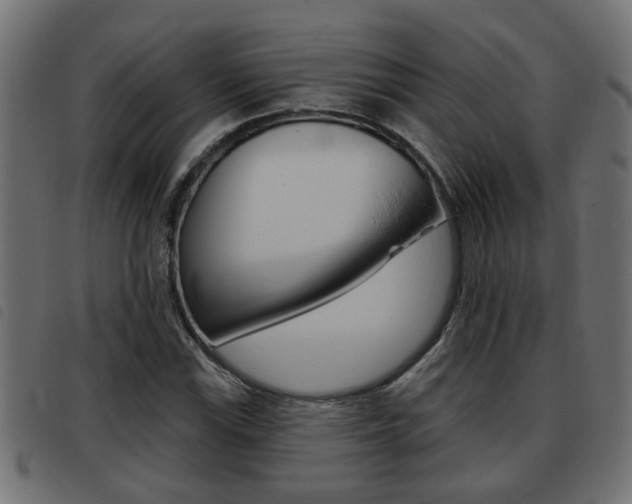 X0000093421115200710120851