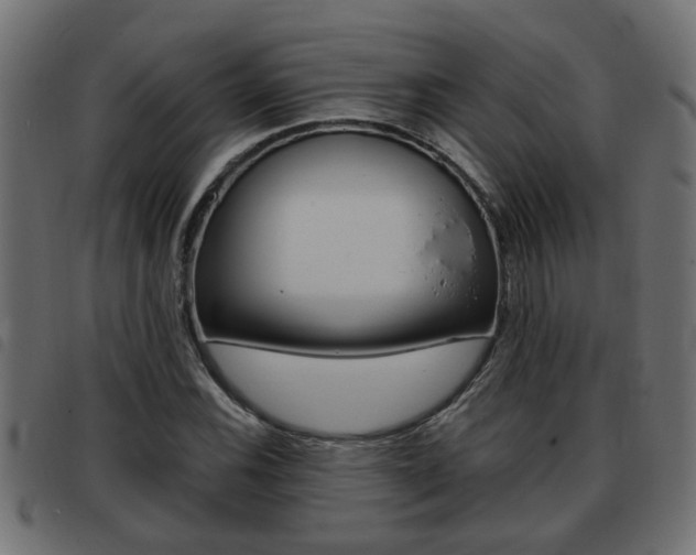X0000093421116200710120851